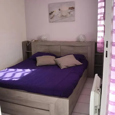 Appartement Les Goelettes - En Rdc Avec Acces Direct A La